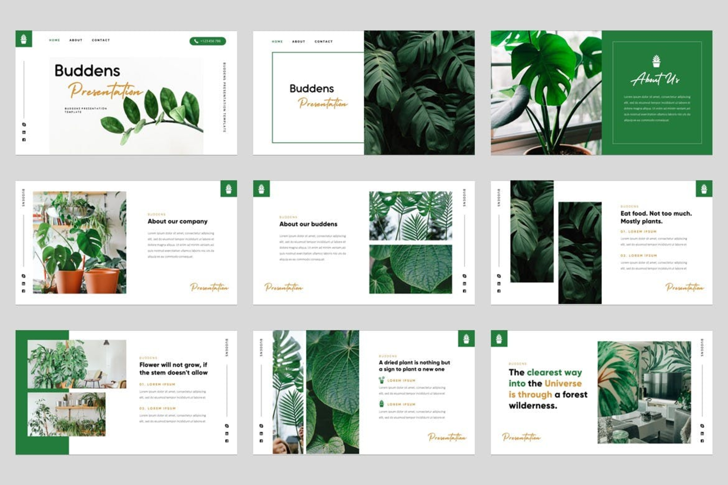 3808 现代极简主义热带绿植创意作品集PPT模板 Buddens – Minimalism Tropical Powerpoint Template