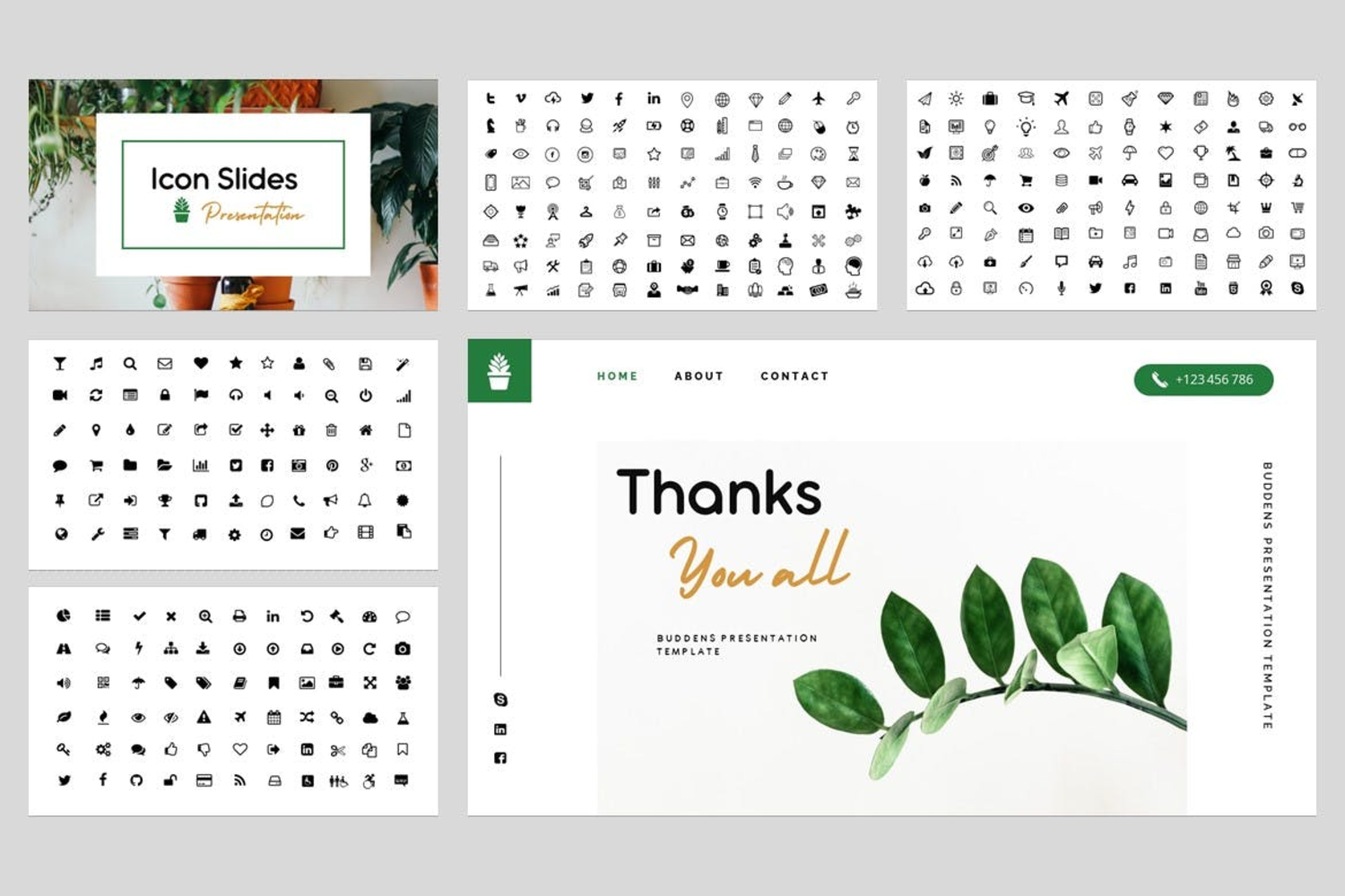 3808 现代极简主义热带绿植创意作品集PPT模板 Buddens – Minimalism Tropical Powerpoint Template