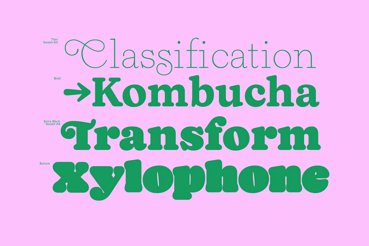 3935 34款Naiche潮流创意卡通趣味时尚潮牌logo海报标题英文字体家族 Naiche Font Family@GOOODME.COM