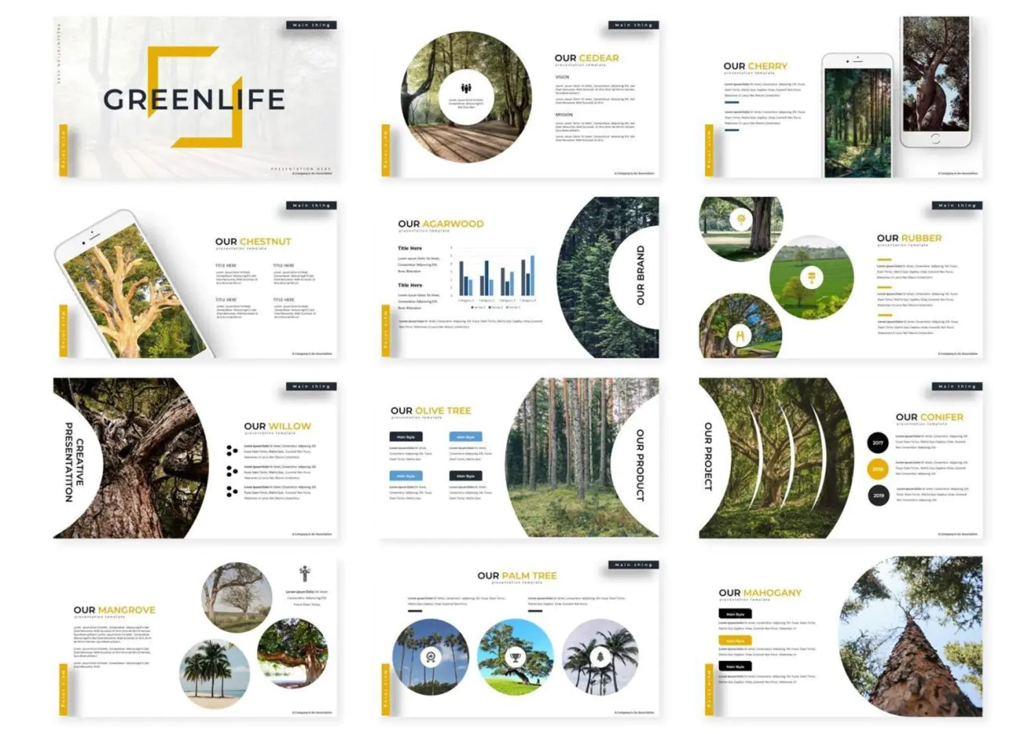 4029 教育教案生物植物主题演讲Keynote模板 Greenlife – Keynote Template