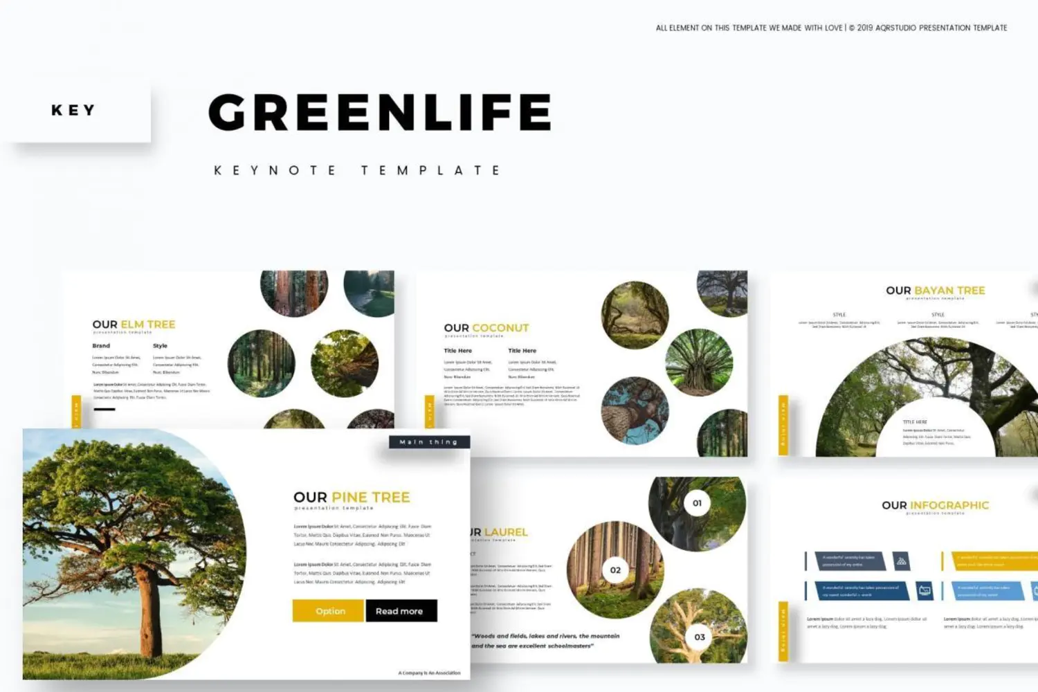 4029 教育教案生物植物主题演讲Keynote模板 Greenlife – Keynote Template
