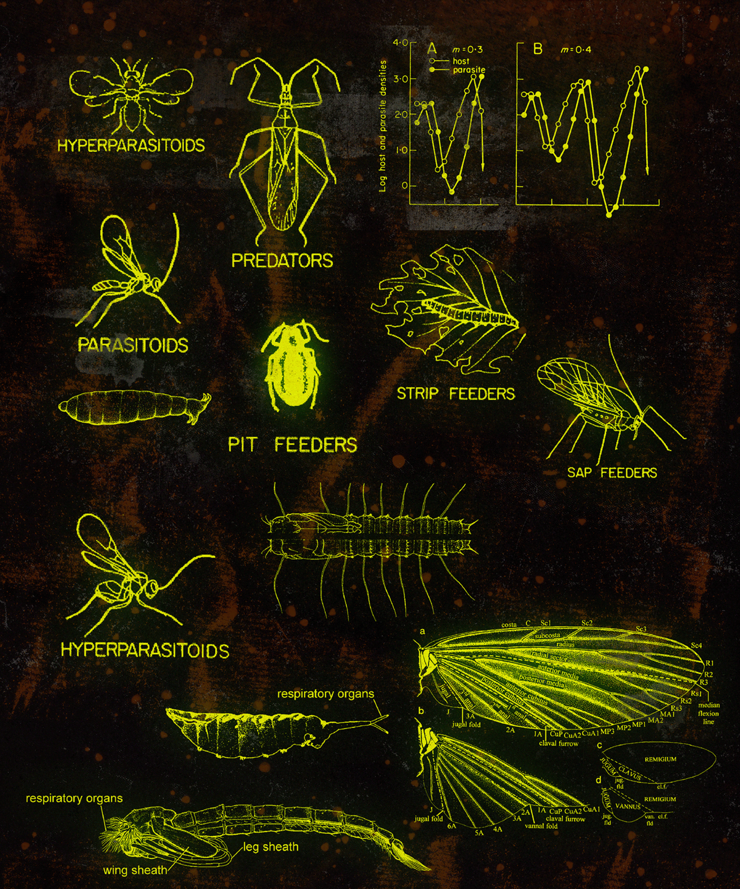 4284 可商用昆虫研究学术图标图形素材包@GOOODME.COM