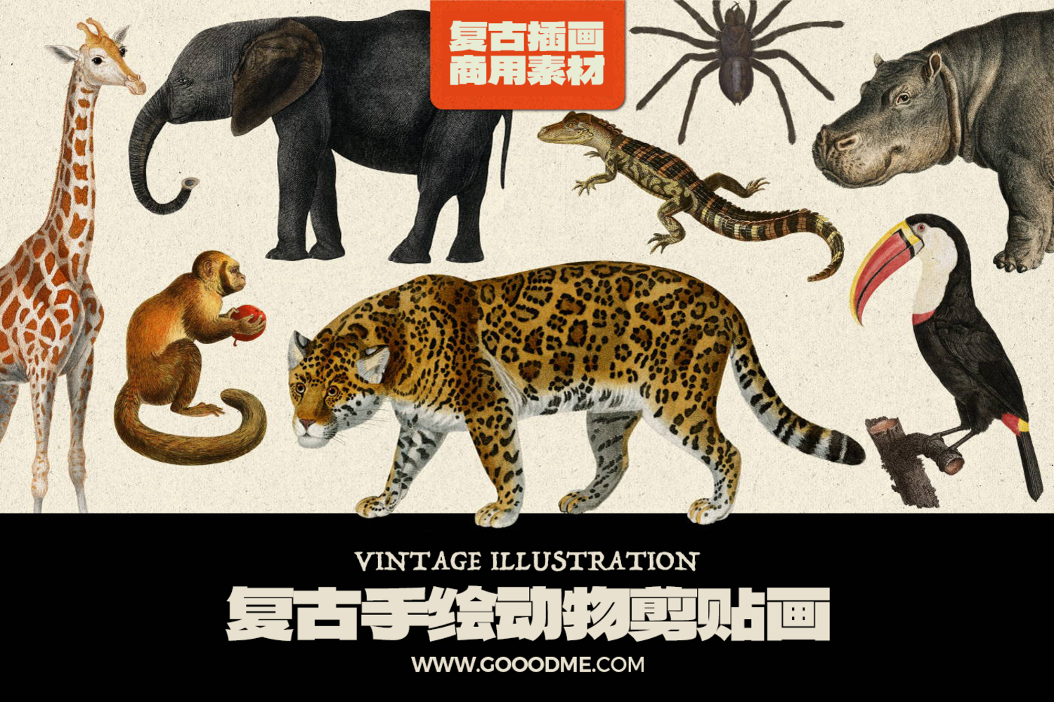 4364 8款可商用复古手绘剪贴画动物拼贴高清PNG免抠素材 Jungle Animals@GOOODME.COM