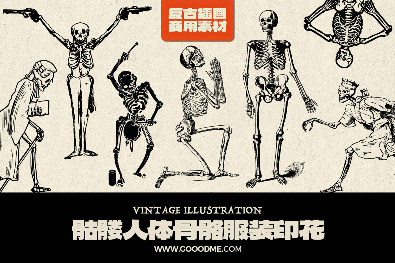 4367 7款可商用手绘骷髅人体骨骼服装印花高清免抠PNG素材 Skeleton Samba@GOOODME.COM