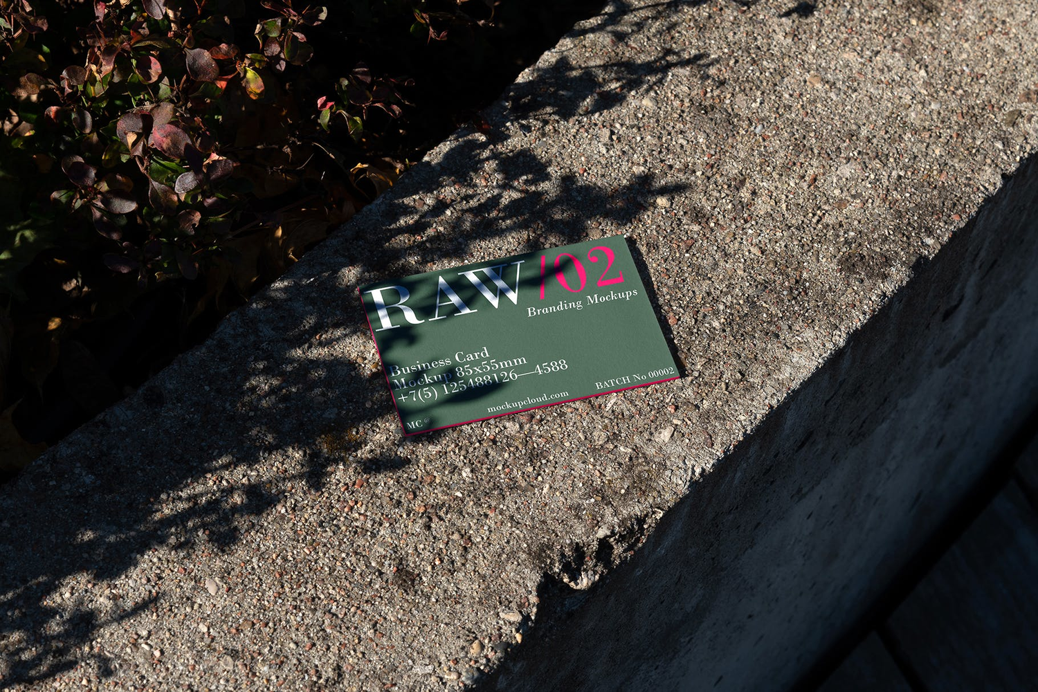 4746 16款质感光影工业风名片设计作品贴图ps样机素材场景展示效果模板 Raw Business Cards Mockups Vol 2@GOOODME.COM