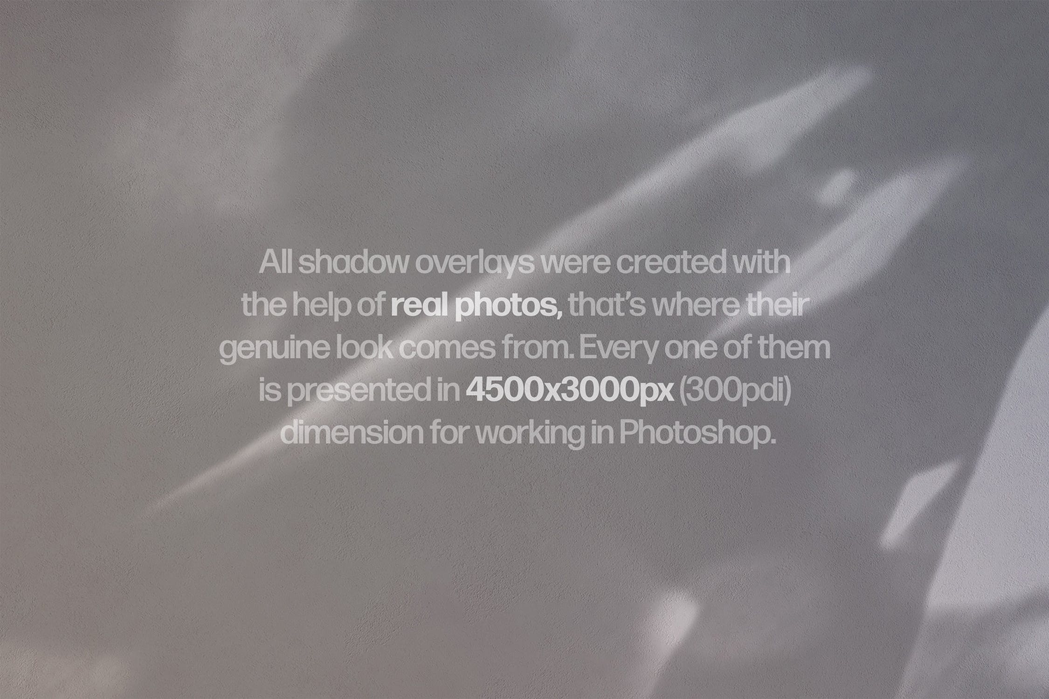 4869 30款文艺自然光线阳光植物光影阴影投影背景底纹ps设计素材源文件 Shadow Photo Overlays Vol.4