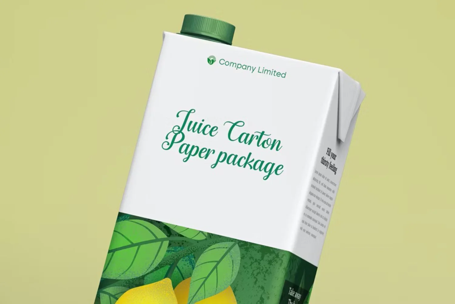 5063 10款牛奶果汁利乐包装瓶设计PS样机 Tetra Pack Fruit Juice Carton Mockup@GOOODME.COM