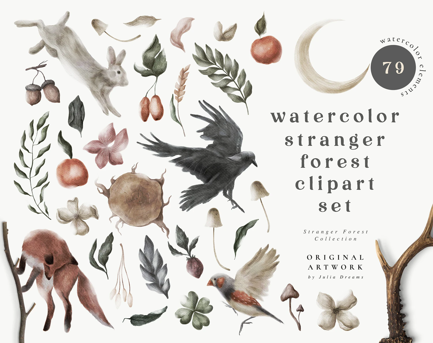 5443 森林动植物相关的PNG手绘水彩插画素材
