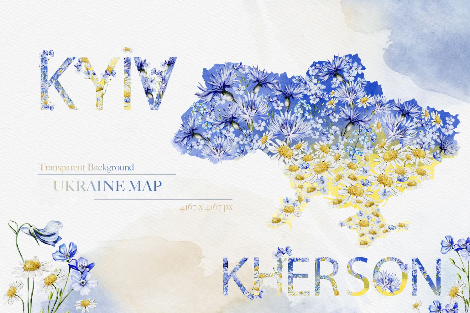 5593 乌克兰野花主题的水彩插画素材