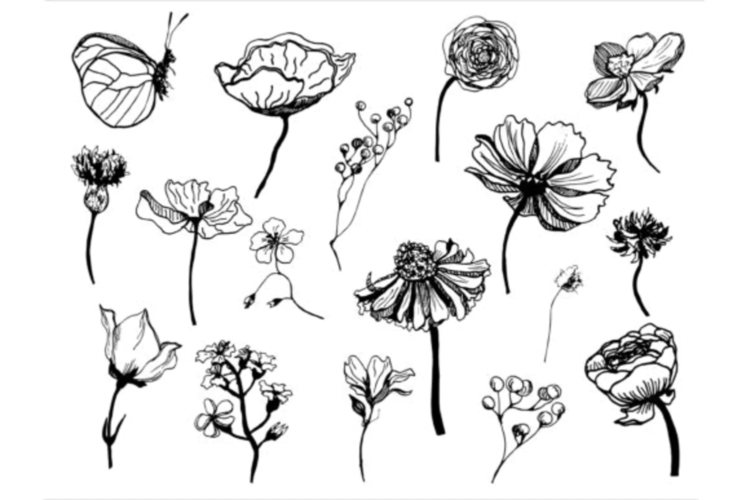 5596 创意黑白手绘花卉植物矢量插画素材