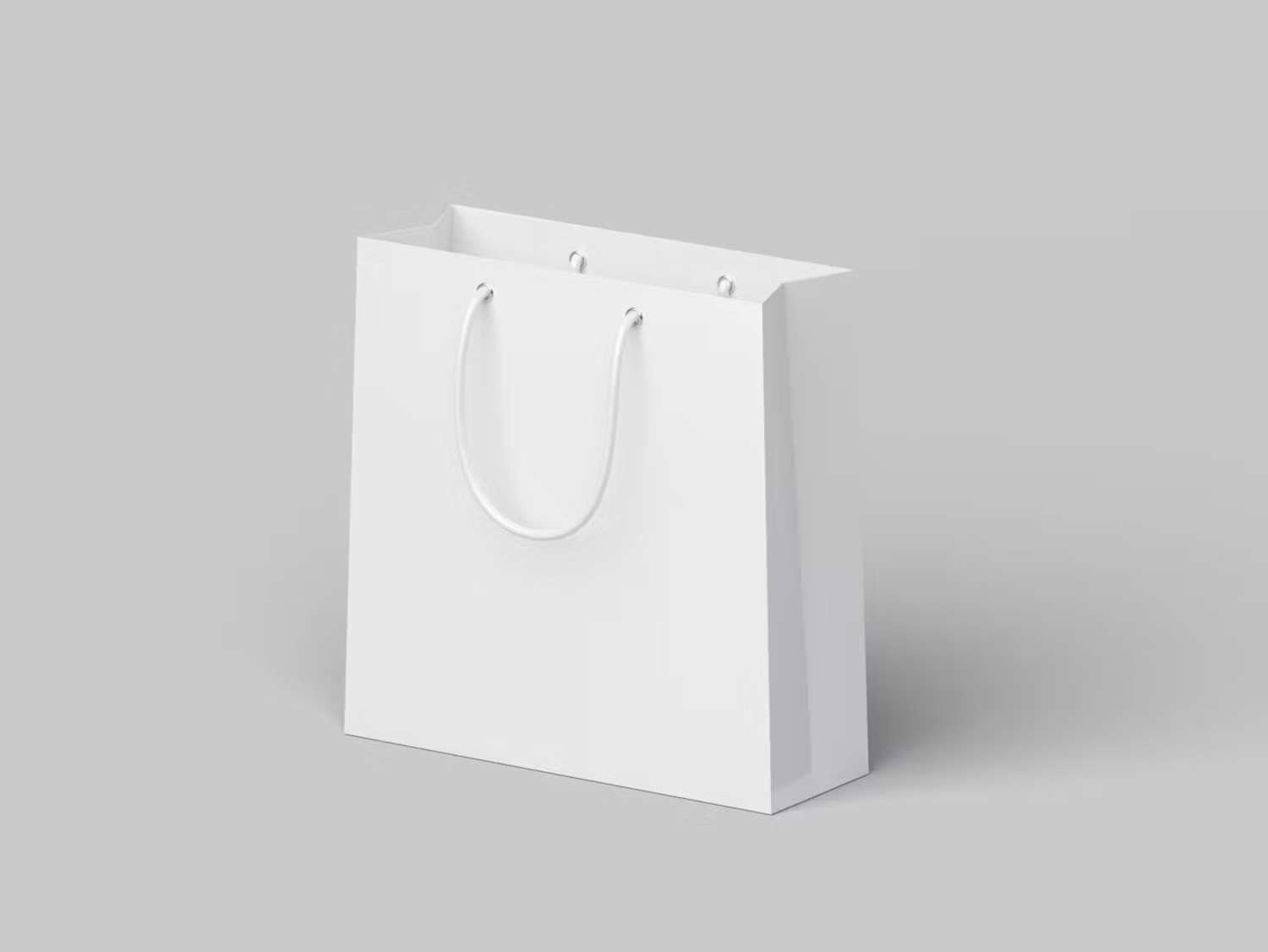 5848 模拟包装袋PSD样机-Shopping Bag Mockup