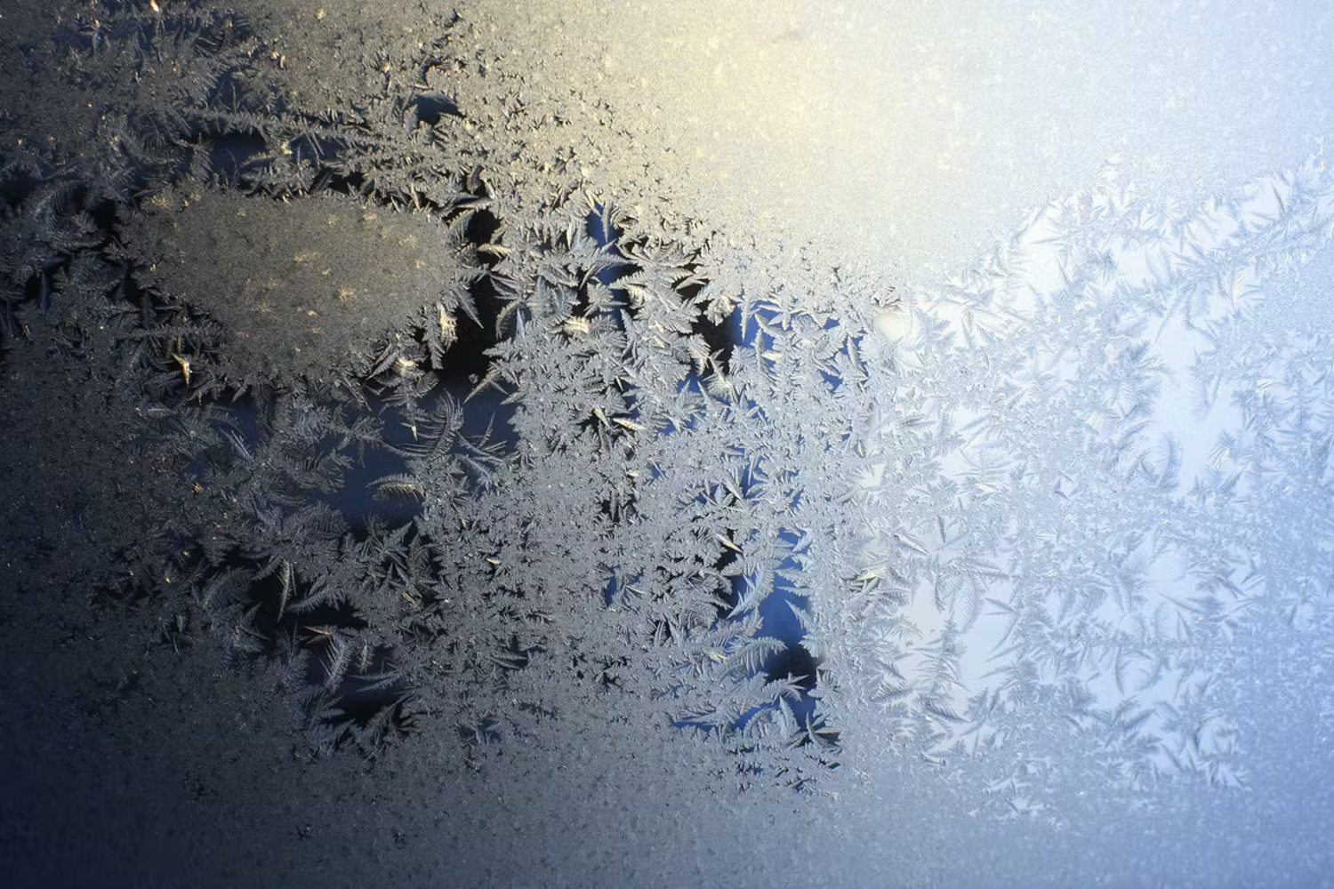 6005 冰雪世界高清背景图集素材-Art of Frost – Winter Ice Backgrounds