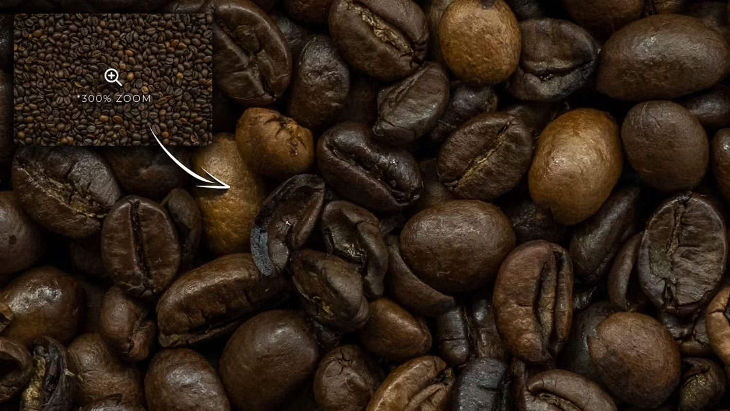 6010 独特风格咖啡背景摄影素材-Coffee Backgrounds