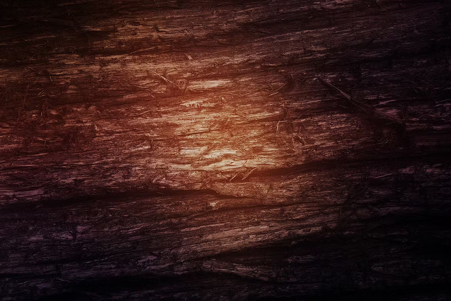 6014 高清木质纹理摄影背景设计素材-Wood Backgrounds