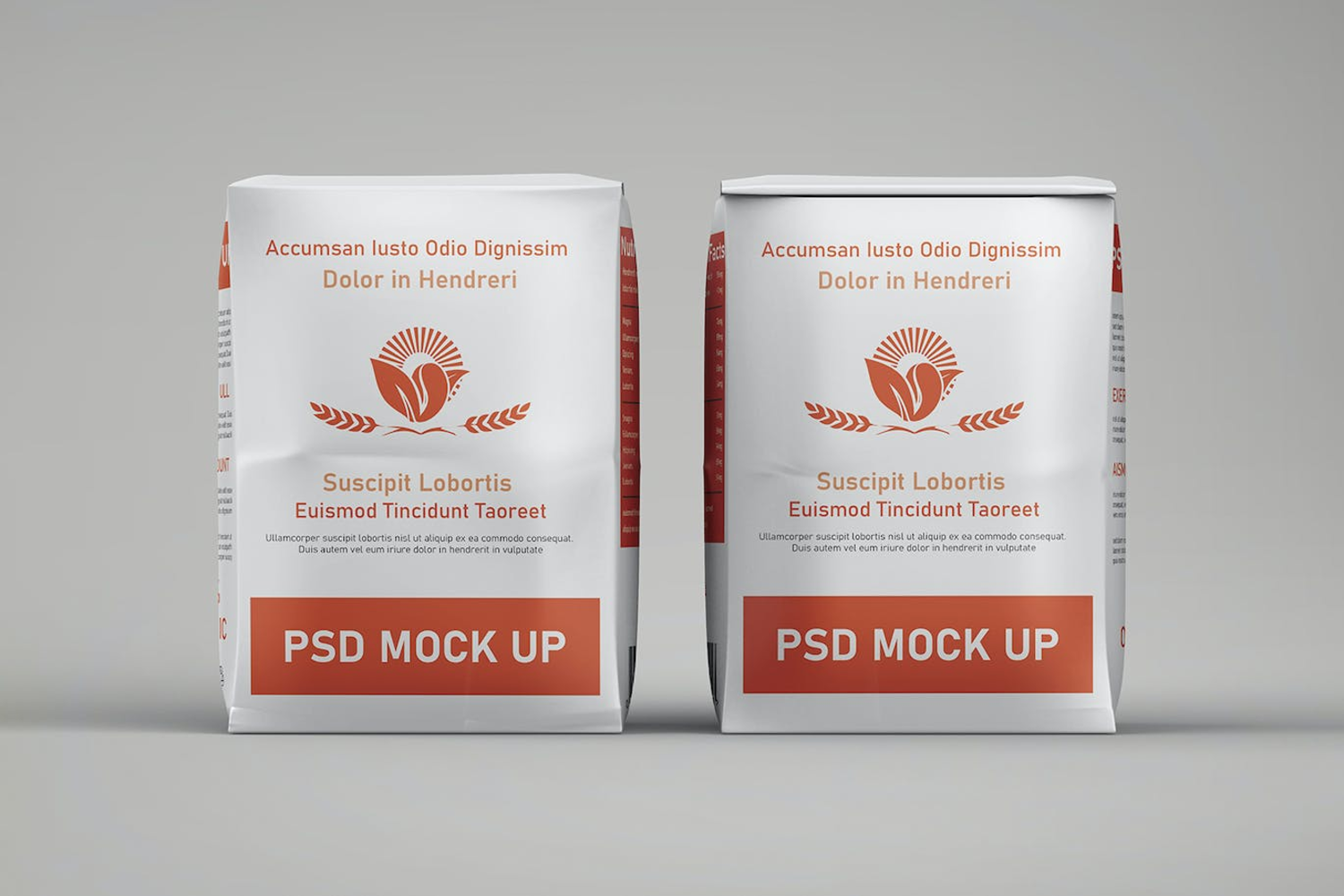 6275 创意设计面粉袋包装样机模型-Flour bag packaging mockup