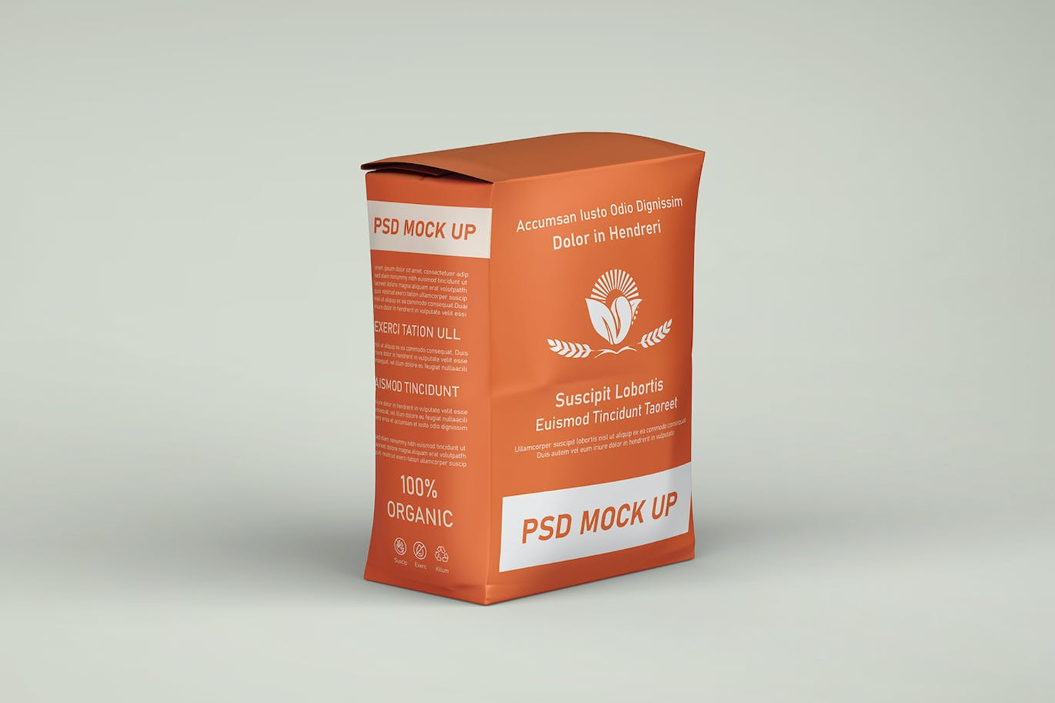 6275 创意设计面粉袋包装样机模型-Flour bag packaging mockup