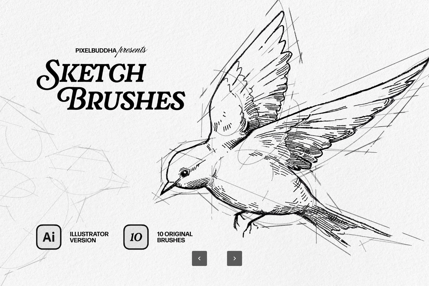 G6651 PS动作AI笔刷手绘效果插画工具设计师必备一键生成素描风格SKETCHER — Sketch Brushes for Illustrator