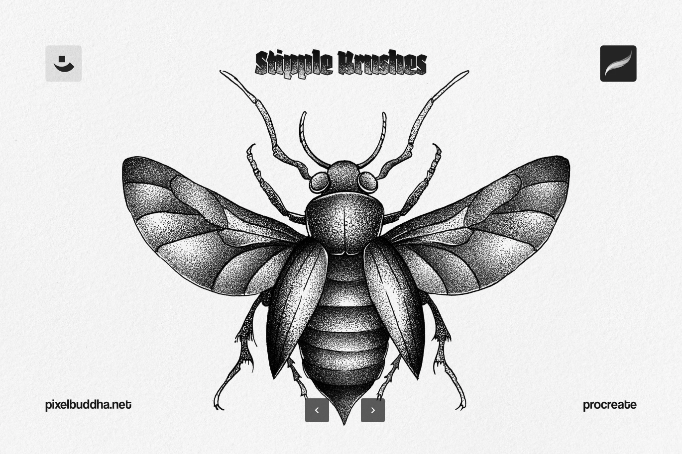 G6693 专业级Procreate点彩笔刷套装手绘质感插画必备设计师专用Pro5兼容Procreate Stipple Brushes