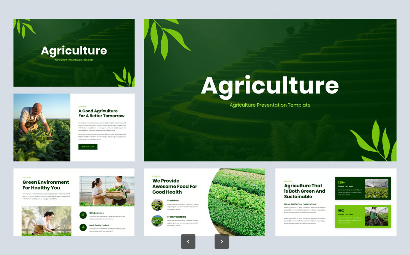 现代农业专业商务PPT模板30页高级感可编辑农业主题演示文稿Agriculture PowerPoint Template-果觅网