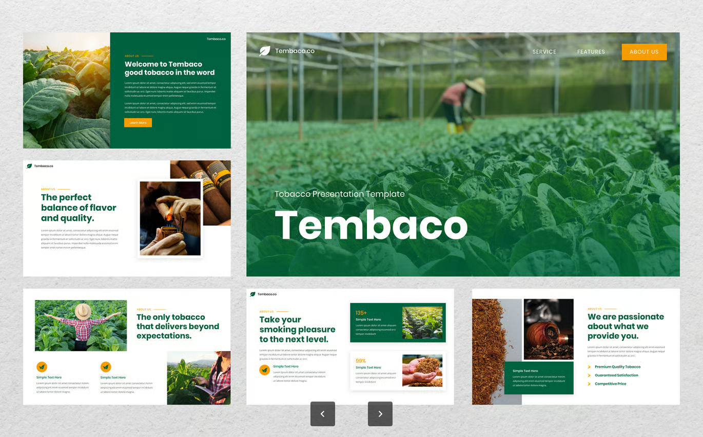 烟草行业商务PPT模板30页可编辑Keynote幻灯片农业医疗公司介绍Tembaco - Tobacco Keynote Template-果觅网
