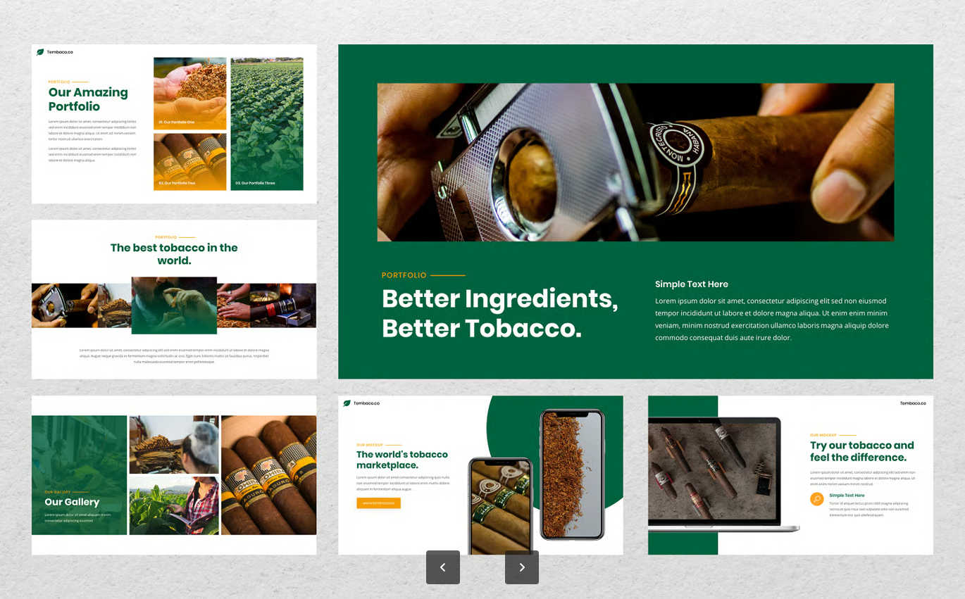 烟草行业商务PPT模板30页可编辑Keynote幻灯片农业医疗公司介绍Tembaco - Tobacco Keynote Template-果觅网