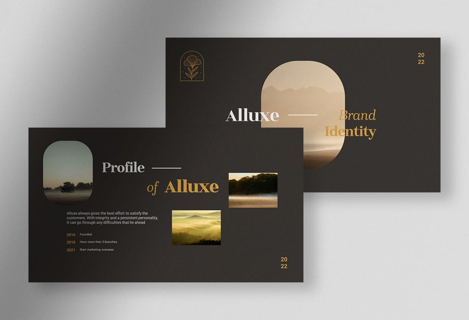 16 Alluxe – 优雅品牌标识手册PPT模板 (PPT,PPTX)